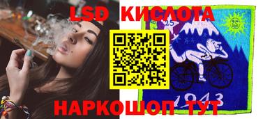 спиды Донской