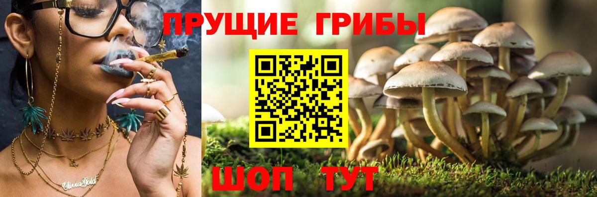 Галлюциногенные грибы MAGIC MUSHROOMS Кохма