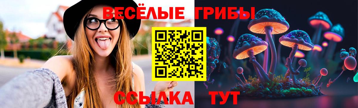 Псилоцибиновые грибы Cubensis  Галлюциногенные грибы Cubensis  Кохма  Вход с VPN 
