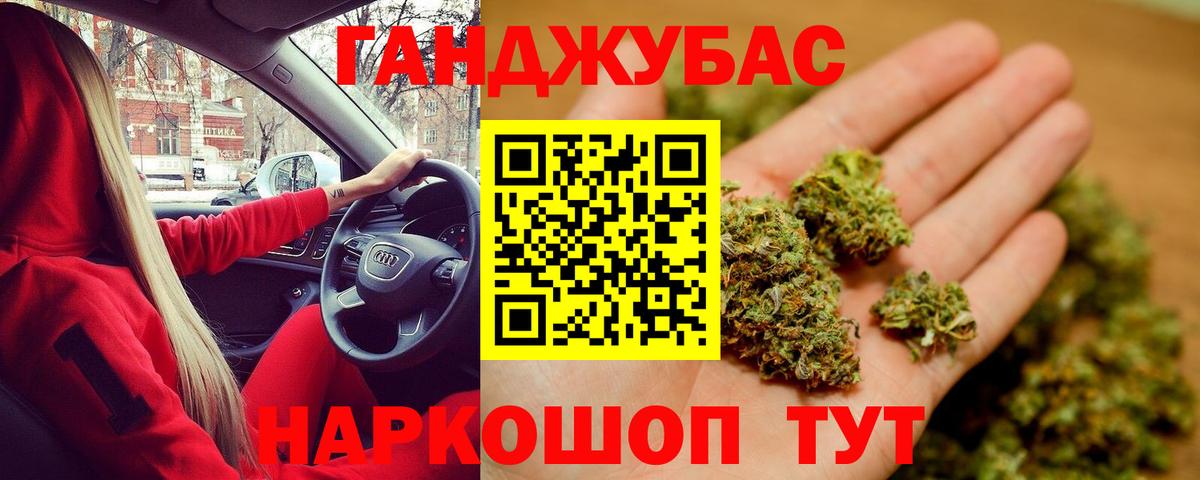 Каннабис OG Kush Кохма